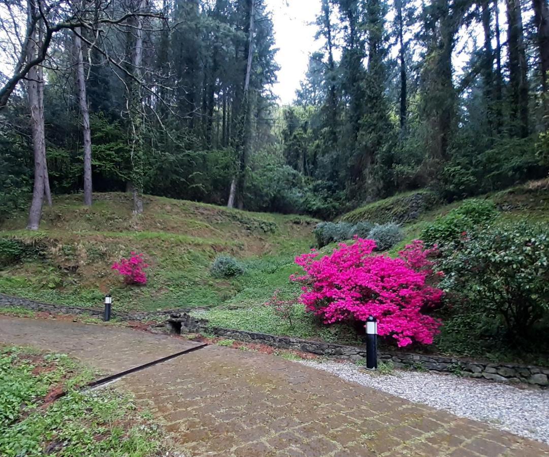 Il Bosco Di Campo Marzano Garden Apartments Borzonasca Exteriör bild