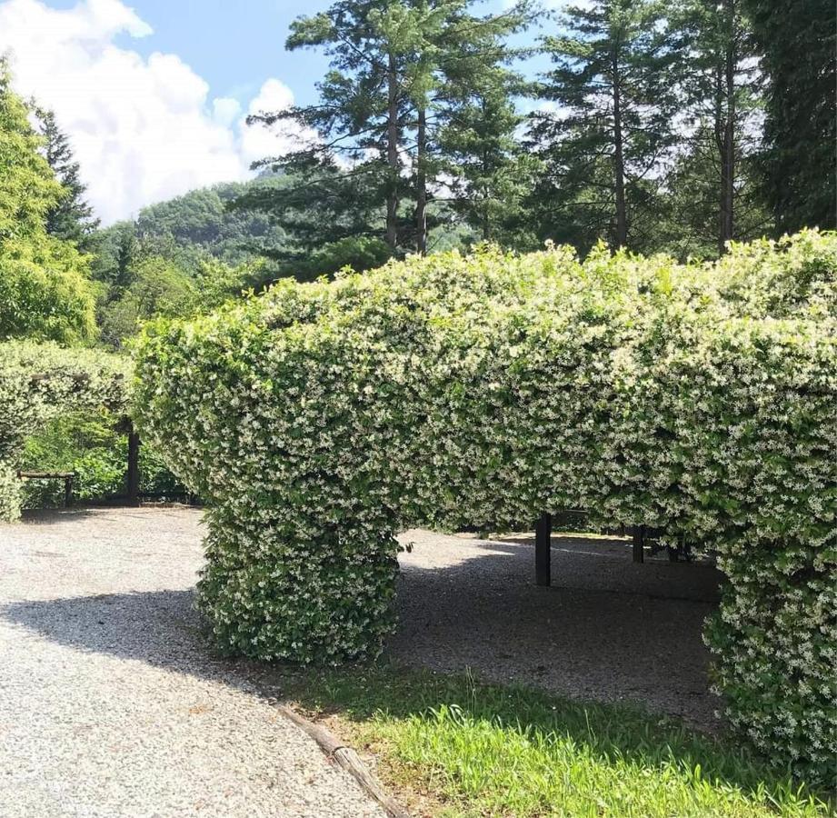 Il Bosco Di Campo Marzano Garden Apartments Borzonasca Exteriör bild