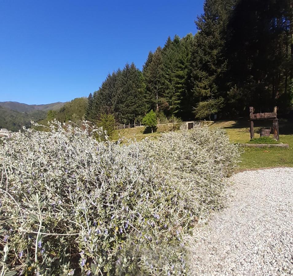 Il Bosco Di Campo Marzano Garden Apartments Borzonasca Exteriör bild