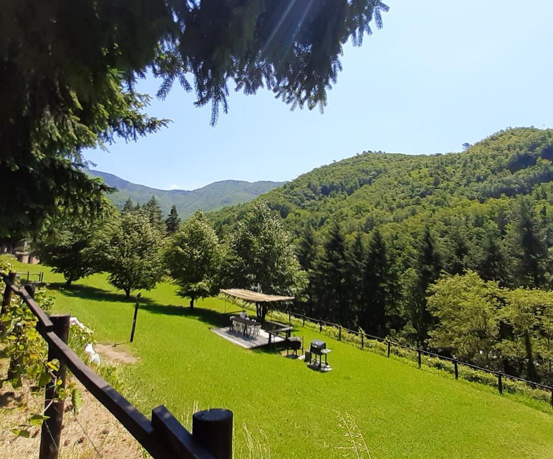 Il Bosco Di Campo Marzano Garden Apartments Borzonasca Exteriör bild