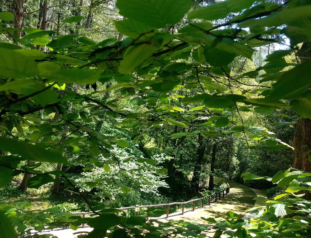 Il Bosco Di Campo Marzano Garden Apartments Borzonasca Exteriör bild