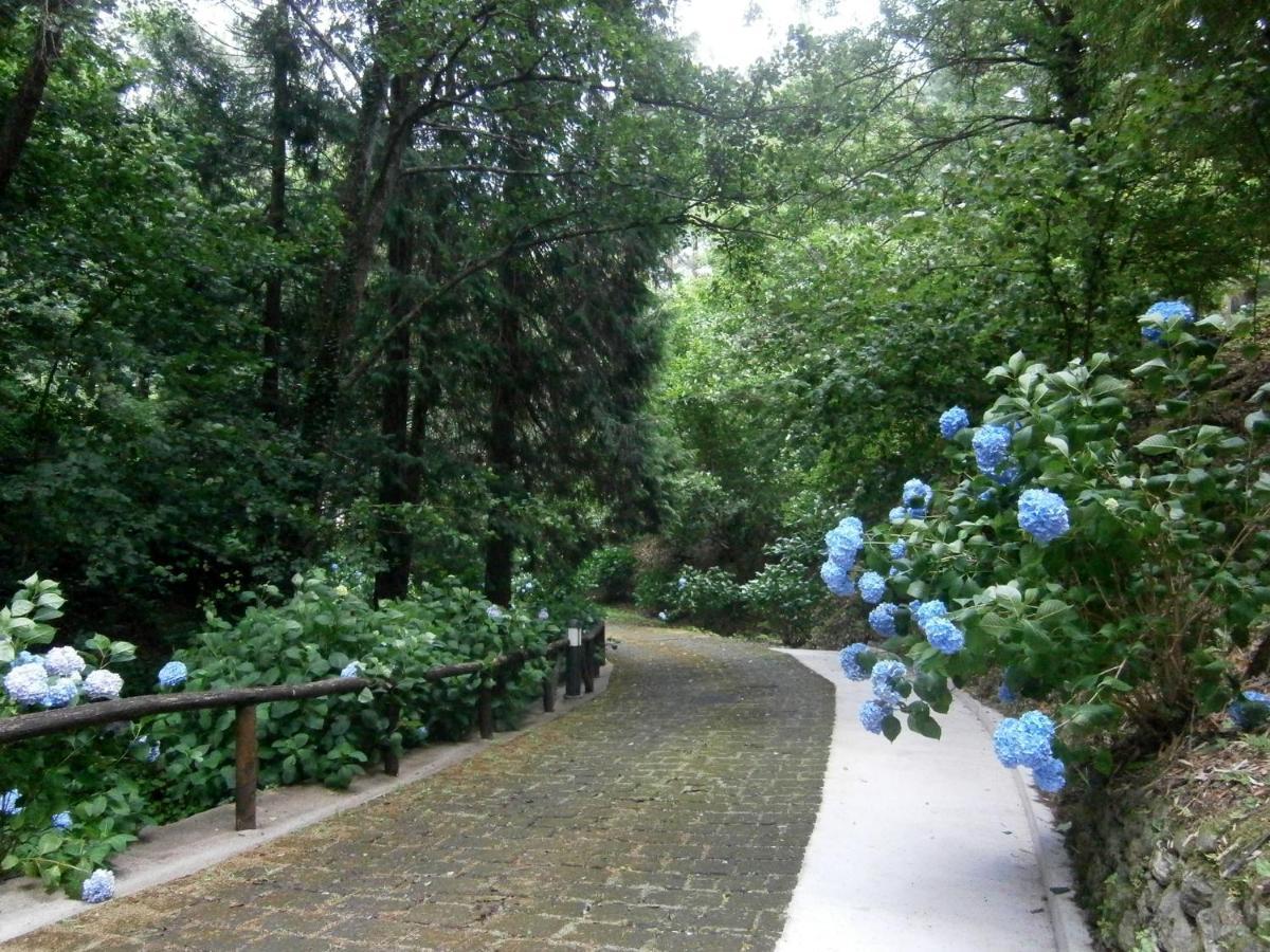 Il Bosco Di Campo Marzano Garden Apartments Borzonasca Exteriör bild